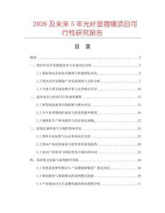 2026及未來5年光纖顯微鏡項目可行性研究報告
