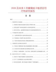 2026及未來5年蜂窩紙卡板項目可行性研究報告