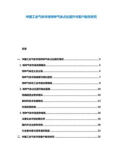 中國(guó)工業(yè)氣體市場(chǎng)特種氣體占比提升與客戶黏性研究