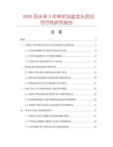 2026及未來5年單把浴盆龍頭項目可行性研究報告