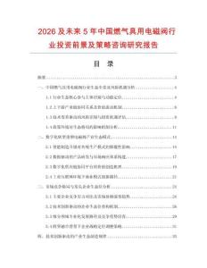 2026及未來5年中國燃氣具用電磁閥行業(yè)投資前景及策略咨詢研究報告