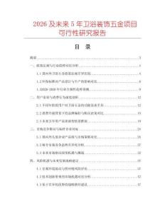2026及未來5年衛浴裝飾五金項目可行性研究報告