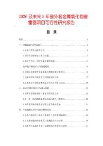2026及未來5年瓷外套金屬氧化物避雷器項目可行性研究報告