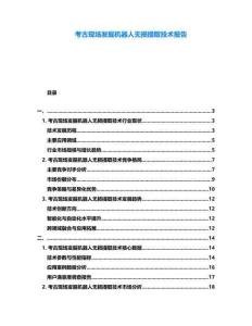 考古現(xiàn)場發(fā)掘機器人無損提取技術(shù)報告