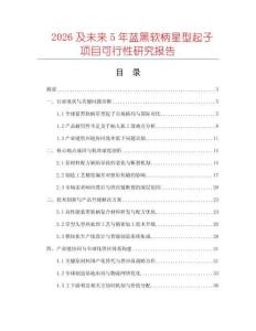 2026及未來5年藍黑軟柄星型起子項目可行性研究報告
