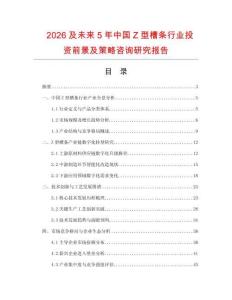 2026及未來5年中國Z型槽條行業投資前景及策略咨詢研究報告