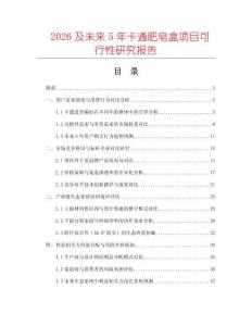 2026及未來5年卡通肥皂盒項目可行性研究報告