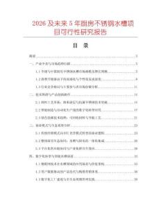 2026及未來5年廚房不銹鋼水槽項目可行性研究報告