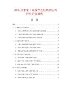 2026及未來5年煤氣加壓機項目可行性研究報告