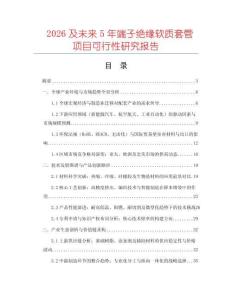 2026及未來5年端子絕緣軟質套管項目可行性研究報告
