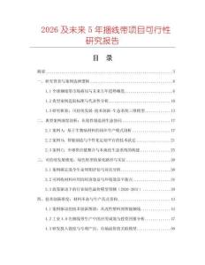 2026及未來(lái)5年捆線帶項(xiàng)目可行性研究報(bào)告