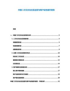 中國二次元文化社區(qū)運(yùn)營與用戶粘性提升報(bào)告