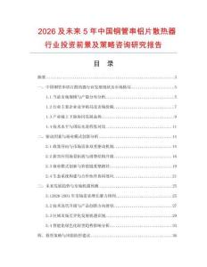2026及未來5年中國銅管串鋁片散熱器行業投資前景及策略咨詢研究報告
