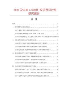 2026及未來5年射燈鉸項目可行性研究報告