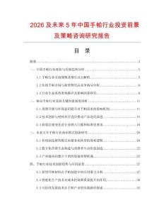 2026及未來5年中國手帕行業投資前景及策略咨詢研究報告