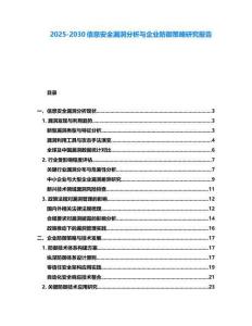 2025-2030信息安全漏洞分析與企業(yè)防御策略研究報(bào)告