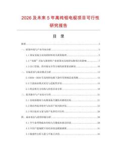 2026及未來(lái)5年高純鉬電極項(xiàng)目可行性研究報(bào)告