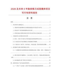2026及未來5年數(shù)控剪刃成型磨床項(xiàng)目可行性研究報告