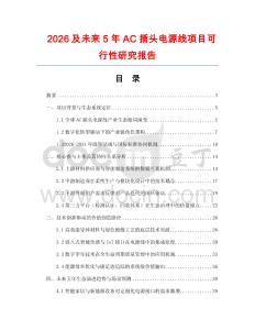 2026及未來5年AC插頭電源線項目可行性研究報告