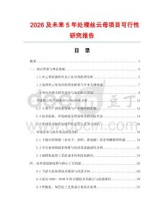 2026及未來5年處理絲云母項目可行性研究報告