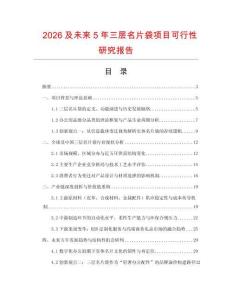 2026及未來(lái)5年三層名片袋項(xiàng)目可行性研究報(bào)告