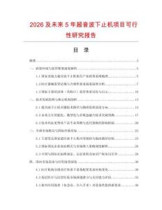 2026及未來5年超音波下止機(jī)項目可行性研究報告