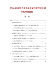 2026及未來5年無機(jī)硅酸鋅底漆項目可行性研究報告