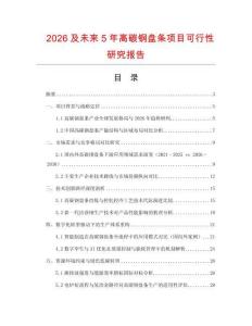 2026及未來(lái)5年高碳鋼盤條項(xiàng)目可行性研究報(bào)告