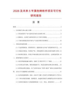 2026及未來5年黑色鑄鐵件項目可行性研究報告