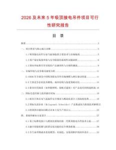 2026及未來5年吸頂接電吊件項(xiàng)目可行性研究報(bào)告