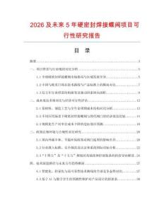 2026及未來5年硬密封焊接蝶閥項目可行性研究報告