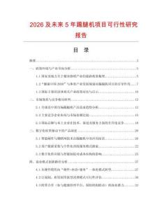 2026及未來5年踢腿機項目可行性研究報告
