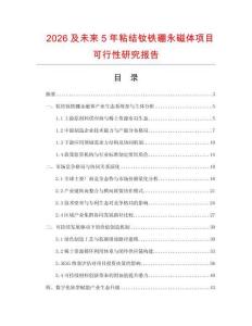 2026及未來(lái)5年粘結(jié)釹鐵硼永磁體項(xiàng)目可行性研究報(bào)告