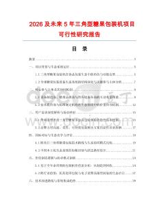 2026及未來5年三角型糖果包裝機(jī)項(xiàng)目可行性研究報(bào)告
