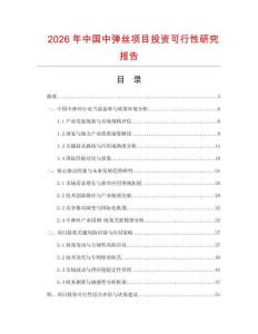 2026年中國中彈絲項(xiàng)目投資可行性研究報(bào)告