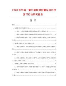 2026年中國(guó)一氧化碳檢測(cè)報(bào)警儀項(xiàng)目投資可行性研究報(bào)告