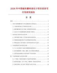 2026年中國(guó)磁性翻轉(zhuǎn)液位計(jì)項(xiàng)目投資可行性研究報(bào)告