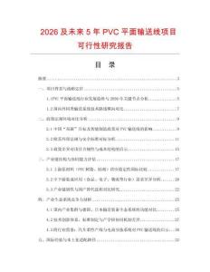 2026及未來5年PVC平面輸送線項目可行性研究報告
