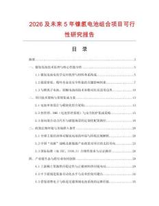 2026及未來5年鎳氫電池組合項目可行性研究報告