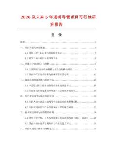 2026及未來5年透明導管項目可行性研究報告
