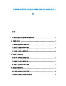 公路橋梁建設運營及風險管控措施與經濟效益評估研究文件