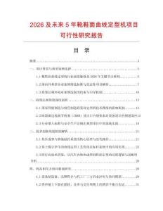 2026及未來5年靴鞋面曲線定型機項目可行性研究報告