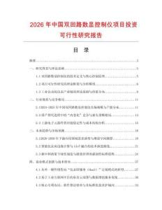 2026年中國雙回路數顯控制儀項目投資可行性研究報告