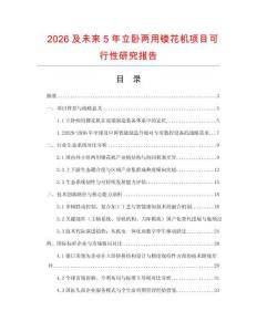 2026及未來(lái)5年立臥兩用鏤花機(jī)項(xiàng)目可行性研究報(bào)告