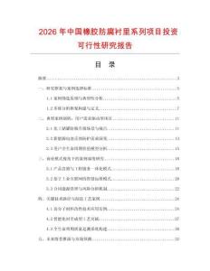 2026年中國橡膠防腐襯里系列項目投資可行性研究報告