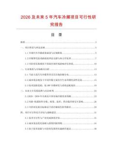 2026及未來(lái)5年汽車?yán)涿巾?xiàng)目可行性研究報(bào)告