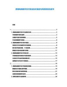 跨境電商數(shù)字支付安全技術演進與風險防控白皮書