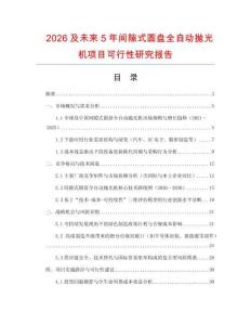 2026及未來5年間隙式圓盤全自動(dòng)拋光機(jī)項(xiàng)目可行性研究報(bào)告