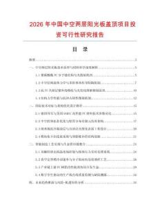2026年中國(guó)中空兩層陽(yáng)光板蓋頂項(xiàng)目投資可行性研究報(bào)告