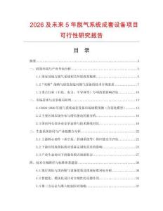 2026及未來5年脫氣系統(tǒng)成套設備項目可行性研究報告